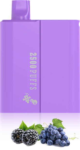 gabriel-BD2500