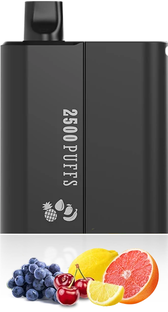 gabriel-BD2500