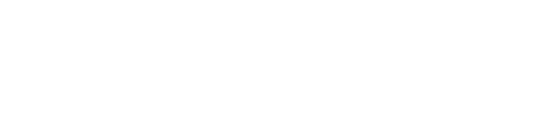 20%